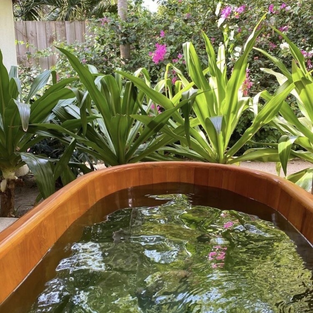 Private commission for DS